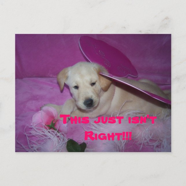 Cartão Postal isto é tão humilhante, isto não está certo!! (Frente)