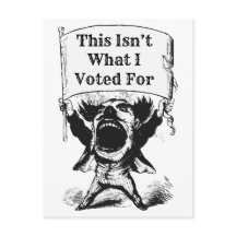 Isto não foi pelo que eu votei