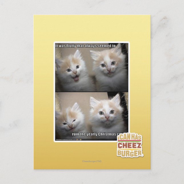 Cartão Postal It was Fluffy (Frente)