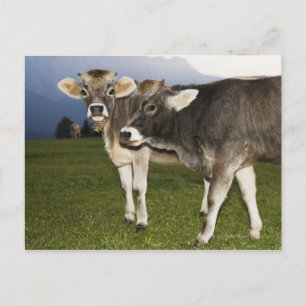 Cartão Postal Itália, Alto Adige