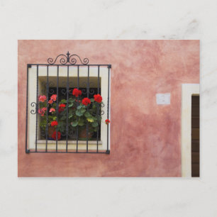 Cartão Postal Itália, Asciano, Caixas de Janela com Primavera Fr