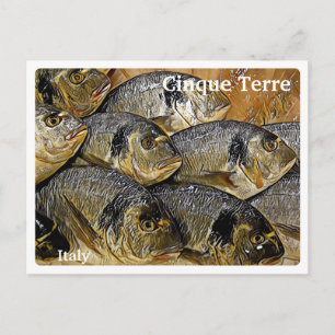 Cartão Postal Itália CINQUE TERRE - Peixes-do-mar -