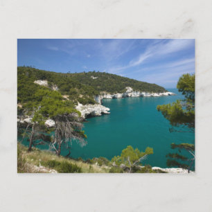 Cartão Postal Itália, Puglia, Promontório do Gargano, Testa