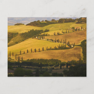 Cartão Postal Itália, Toscana, Estrada ZigZag na Toscana.