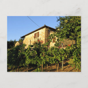 Cartão Postal Itália, Toscana, Greve. Cenas de vinho no final do