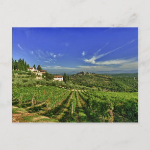 Cartão Postal Itália, Toscana, Greve. Os vinhedos de Castello