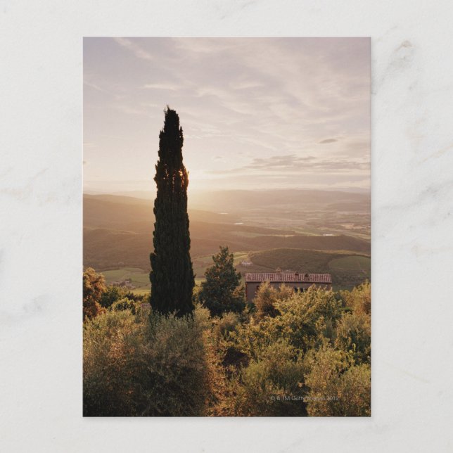 Cartão Postal Itália,Toscana,Val d'Orcia,Montalcino (Frente)