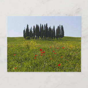 Cartão Postal Itália, Toscana, Val D'Orcia, Paisagem