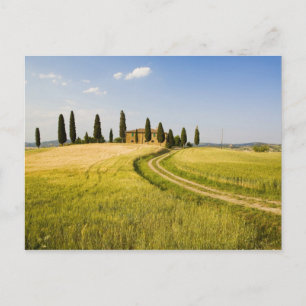 Cartão Postal Itália, Toscana, Villa Toscana perto da colheita.