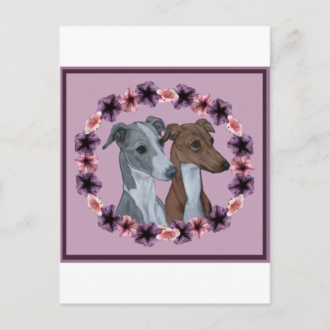 CARTÃO POSTAL ITALIANO GREYHOUND DUO (Frente)