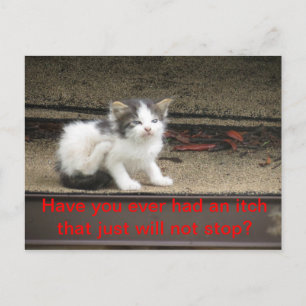 Cartão Postal Itchy Kitten