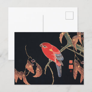 Cartão Postal Ito Jakuchu Red Parrot no Branch Japonês
