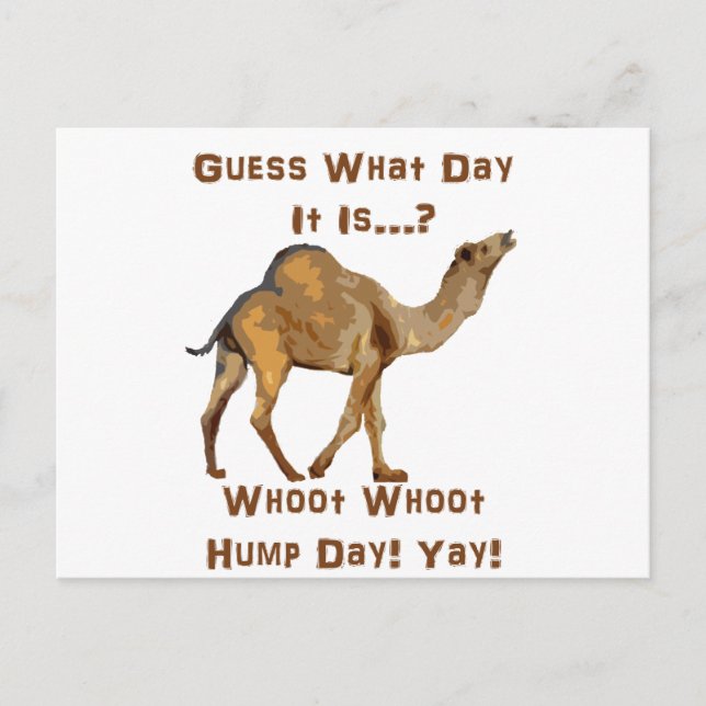Cartão Postal Its Hump Day (Frente)
