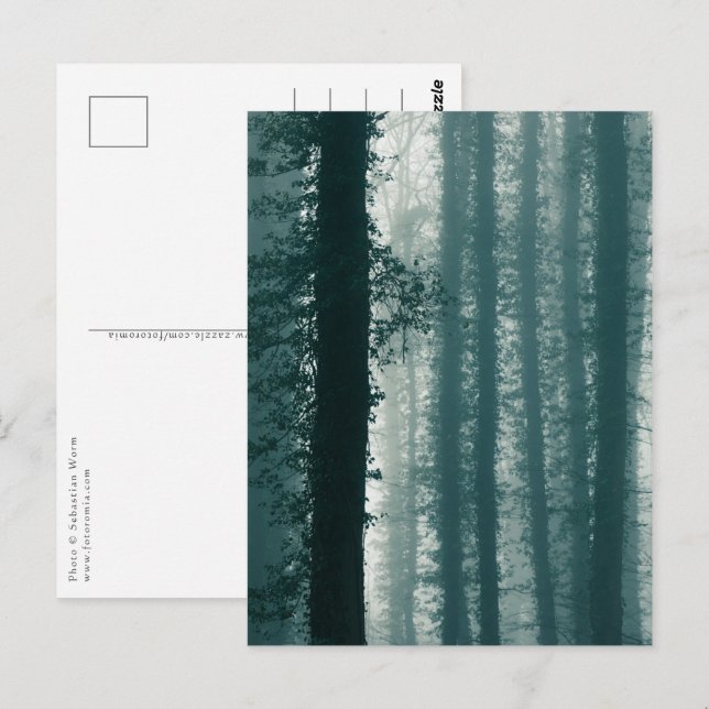 Cartão Postal Ivy Forest Nature Foto (Frente/Verso)