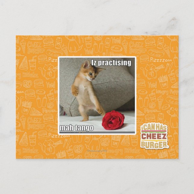 Cartão Postal Iz practising mah tango (Frente)