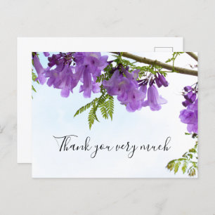 Cartão Postal Jacaranda Purple Flowers Austrália na árvore   