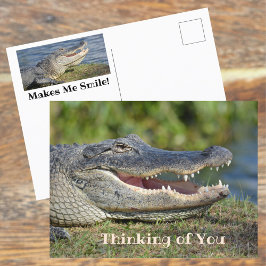 Cartão Postal Jacaré Sorridente Pensando em Você