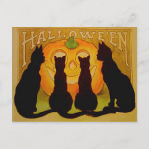 Cartão Postal Jack O Lanterna Pumpkin Black Cat