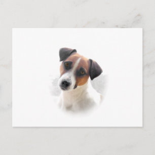 Cartão postal Jack Russell