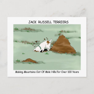 Cartão Postal Jack Russell Terrier