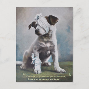 Cartão Postal Jack Russell terrier