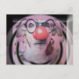 Cartão Postal Jack Russell Terrier Feliz Aniversário Louco Palh