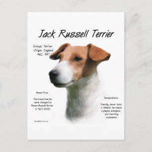 Cartão Postal Jack Russell Terrier History Design