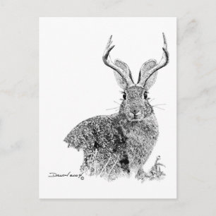 Cartão Postal Jackalope
