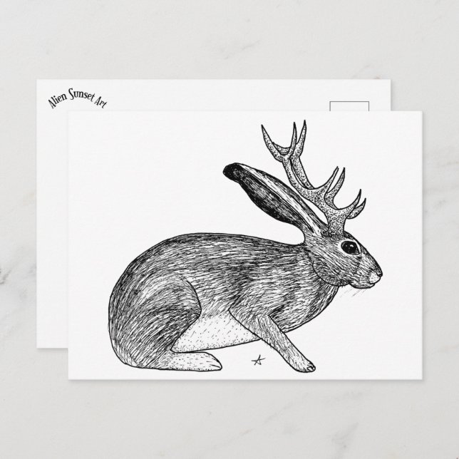 Cartão Postal Jackalope (Frente/Verso)