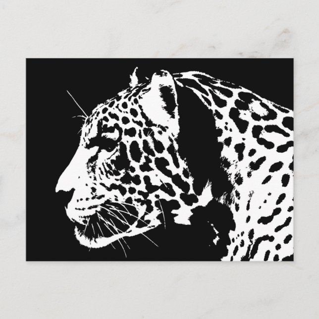 Cartão Postal Jaguar (Frente)