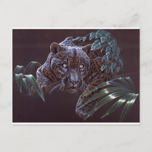 Cartão Postal Jaguar Preto