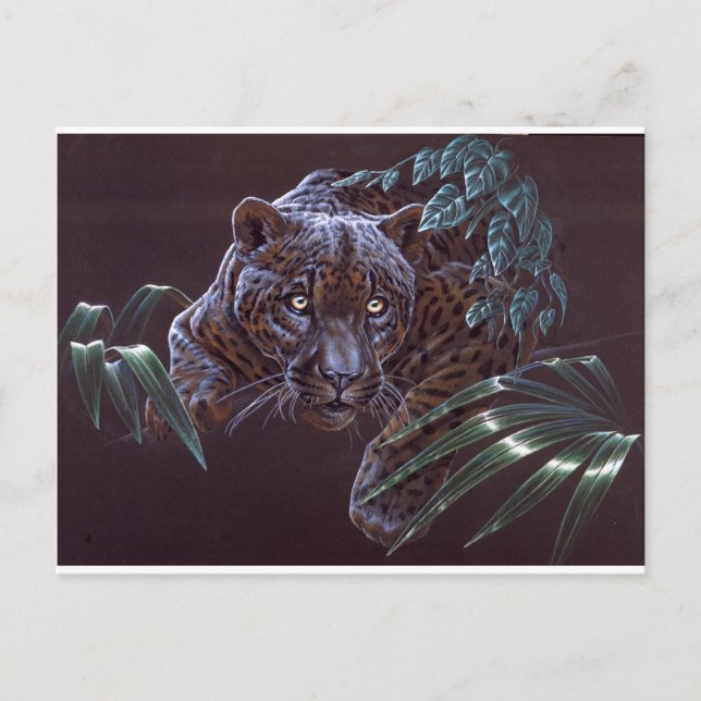 Cartão Postal Jaguar Preto (Frente)