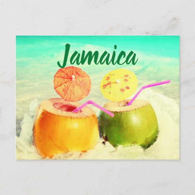 Cartão Postal Jamaica coconuts (Frente)
