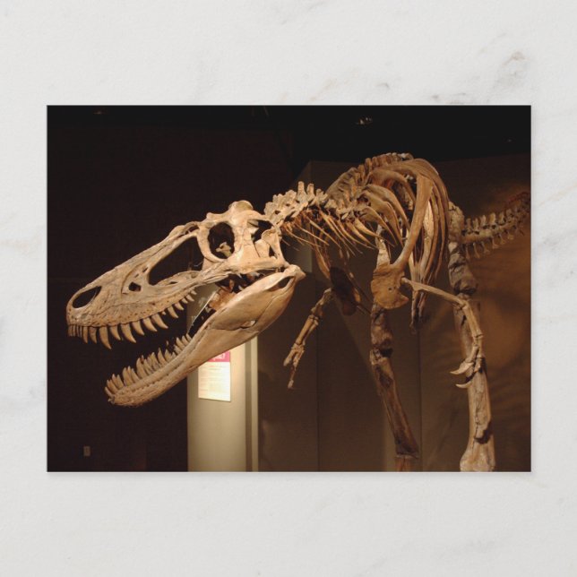 Cartão Postal Jane - Vista nº 6 (Frente)