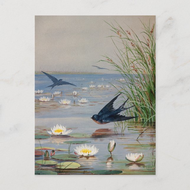 Cartão Postal Janeiro | Fidelia Bridges (Frente)