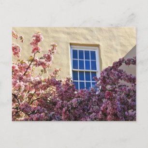 Cartão Postal Janela & Blossomas