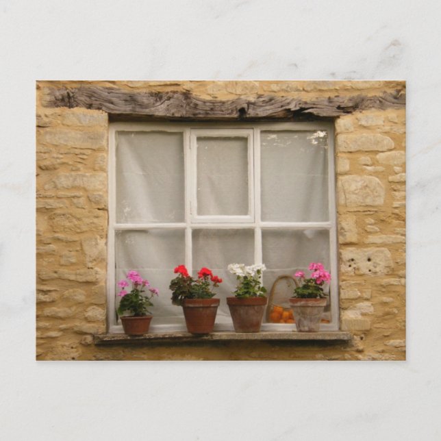 Cartão Postal "Janela de algodão" (Frente)