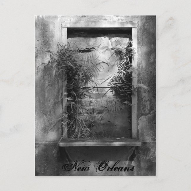 Cartão Postal Janela Inicializada (Frente)