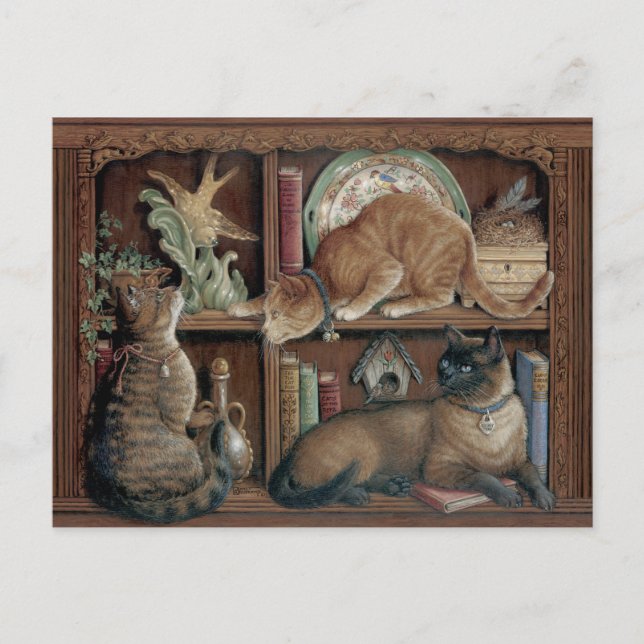 Cartão Postal Janet Kruskamp Gatos na estante Postcrossing (Frente)