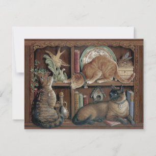 Cartão Postal Janet Kruskamp Gatos na estante Postcrossing