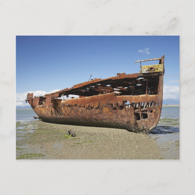 Cartão Postal Janie Seddon Shipwreck, Motueka, Nelson (Frente)