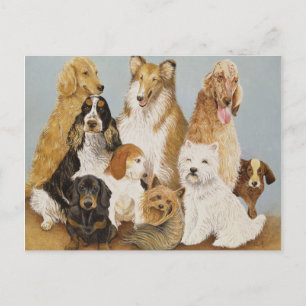 Cartão Postal Janto de cães