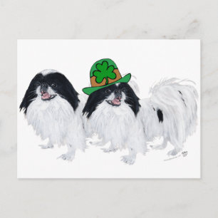 Cartão Postal Japanese Chin Dia de São Patrício