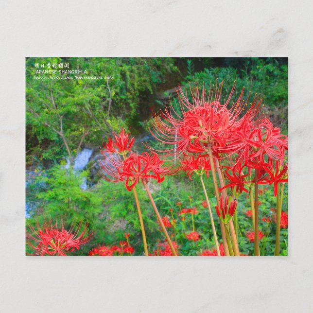 Cartão Postal JAPANESE SHANGRI-LA [Postcard] (Frente)