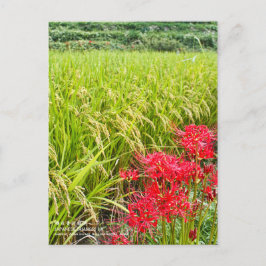 Cartão Postal JAPANESE SHANGRI-LA [Postcard]