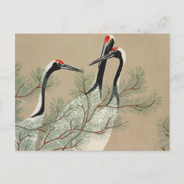 Cartão Postal Japanese woodblock-print Cranes - Kamisaka Sekka (Frente)
