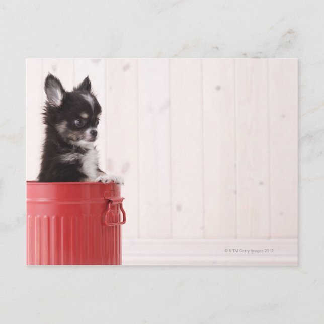 Cartão Postal Japão 4 (Frente)