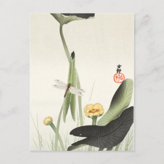 cartão postal japonês da pintura de ohara koson,小 