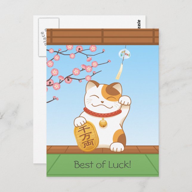 Cartão Postal japonês Lucky Calico Cat, Maneki Neko (Frente/Verso)