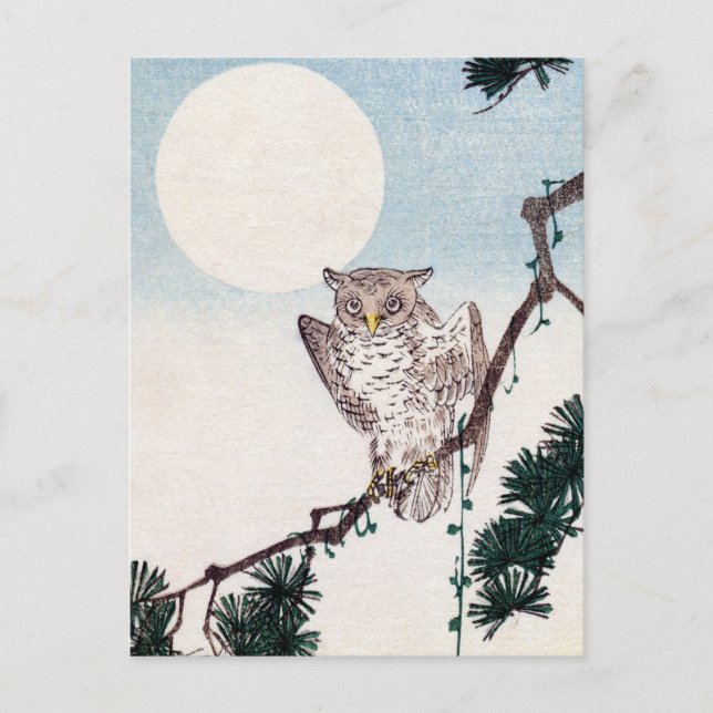 Cartão Postal Japonês Owl n.o 2 (Frente)